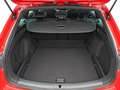 SEAT Leon SP 1.5 eTSI 110kW DSG S&S FR Special Ed Rojo - thumbnail 7