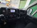 Fiat Ducato Ch.Cb.35 2.3Mjt L2 H1 140CV - thumbnail 7