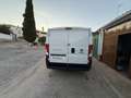 Fiat Ducato Ch.Cb.35 2.3Mjt L2 H1 140CV - thumbnail 12