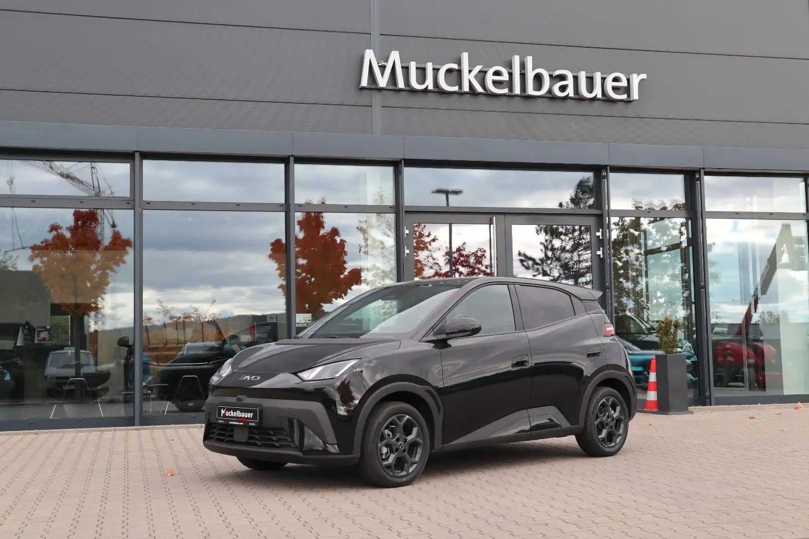 BYD Dolphin SURF Comfort 43kWh BLACK WEEK bis 30.11 Schwarz - 1