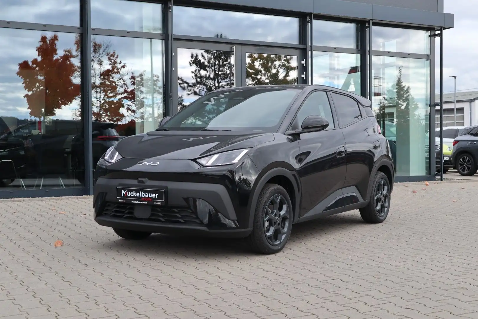 BYD Dolphin SURF Comfort 43kWh BLACK WEEK bis 30.11 Schwarz - 2