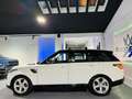 Land Rover Range Rover 3.0D TDV6 HSE AWD Aut. Bianco - thumbnail 7