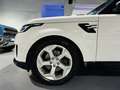 Land Rover Range Rover 3.0D TDV6 HSE AWD Aut. Weiß - thumbnail 9