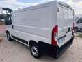 Fiat DUCATO CH1 2.3MJT 120CV E6D-T  PREZZO+IVA Bianco - thumbnail 3