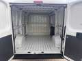 Fiat DUCATO CH1 2.3MJT 120CV E6D-T  PREZZO+IVA Bianco - thumbnail 5