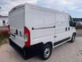Fiat DUCATO CH1 2.3MJT 120CV E6D-T  PREZZO+IVA Bianco - thumbnail 4