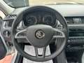 Skoda Rapid/Spaceback 1.6 TDI CR 105 CV Ambition Argento - thumbnail 11