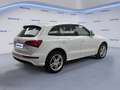 Audi Q5 2.0 TDI 177CV quattro S tronic Advanced Blanc - thumbnail 4