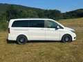 Mercedes-Benz V 250 V-Klasse Diesel (BlueTEC) d lang 7G-TRONIC Edition Bílá - thumbnail 5