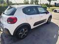 Citroen C3 PureTech 83 S&S 5-Gang-Manuell Feel Weiß - thumbnail 4