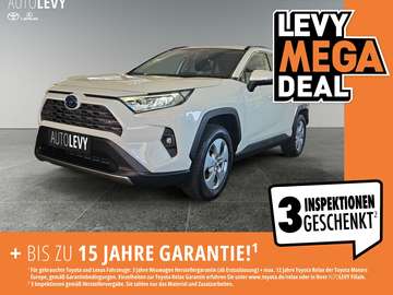 RAV4 Hybrid Team D 8FACH/LED/CARPLAY