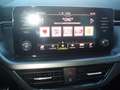 Skoda Kamiq 1.0 TSI 110 CV DSG Style scout Blu/Azzurro - thumbnail 12
