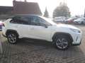 Toyota RAV 4 Hybrid 4x2 - Team Deutschland - Weiß - thumbnail 4