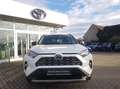 Toyota RAV 4 Hybrid 4x2 - Team Deutschland - Weiß - thumbnail 3