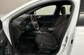 Ford Focus Turnier 1.5 EcoBlue Start-Stopp-System Aut. ST-LIN Weiß - thumbnail 6