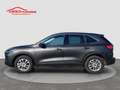 Ford Kuga 2.5 Plug In Hybrid 225 CV CVT 2WD Titanium Busines Grigio - thumbnail 2