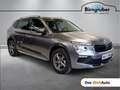 Skoda Kamiq Selection TSI Grau - thumbnail 1