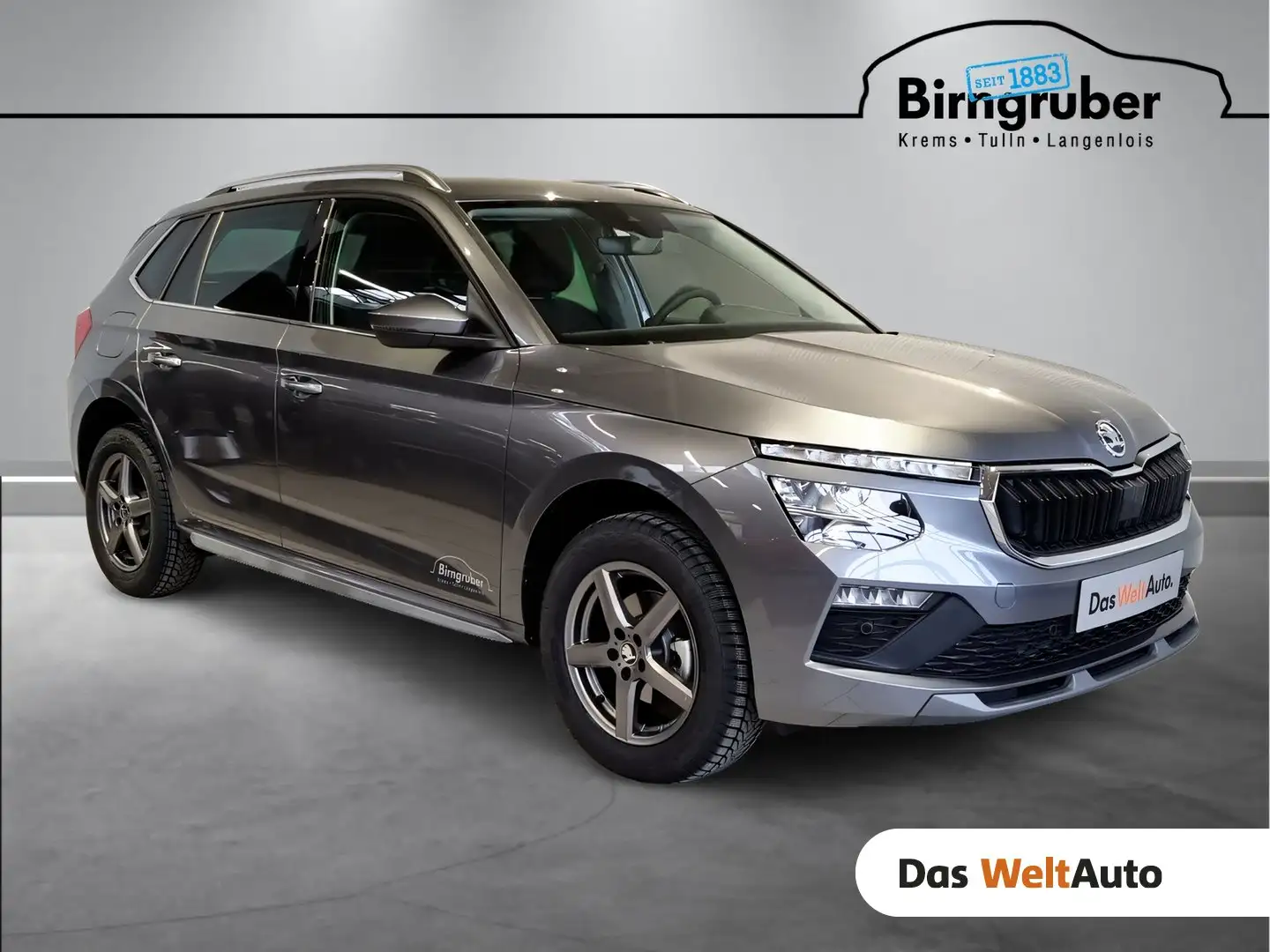 Skoda Kamiq Selection TSI Grau - 1