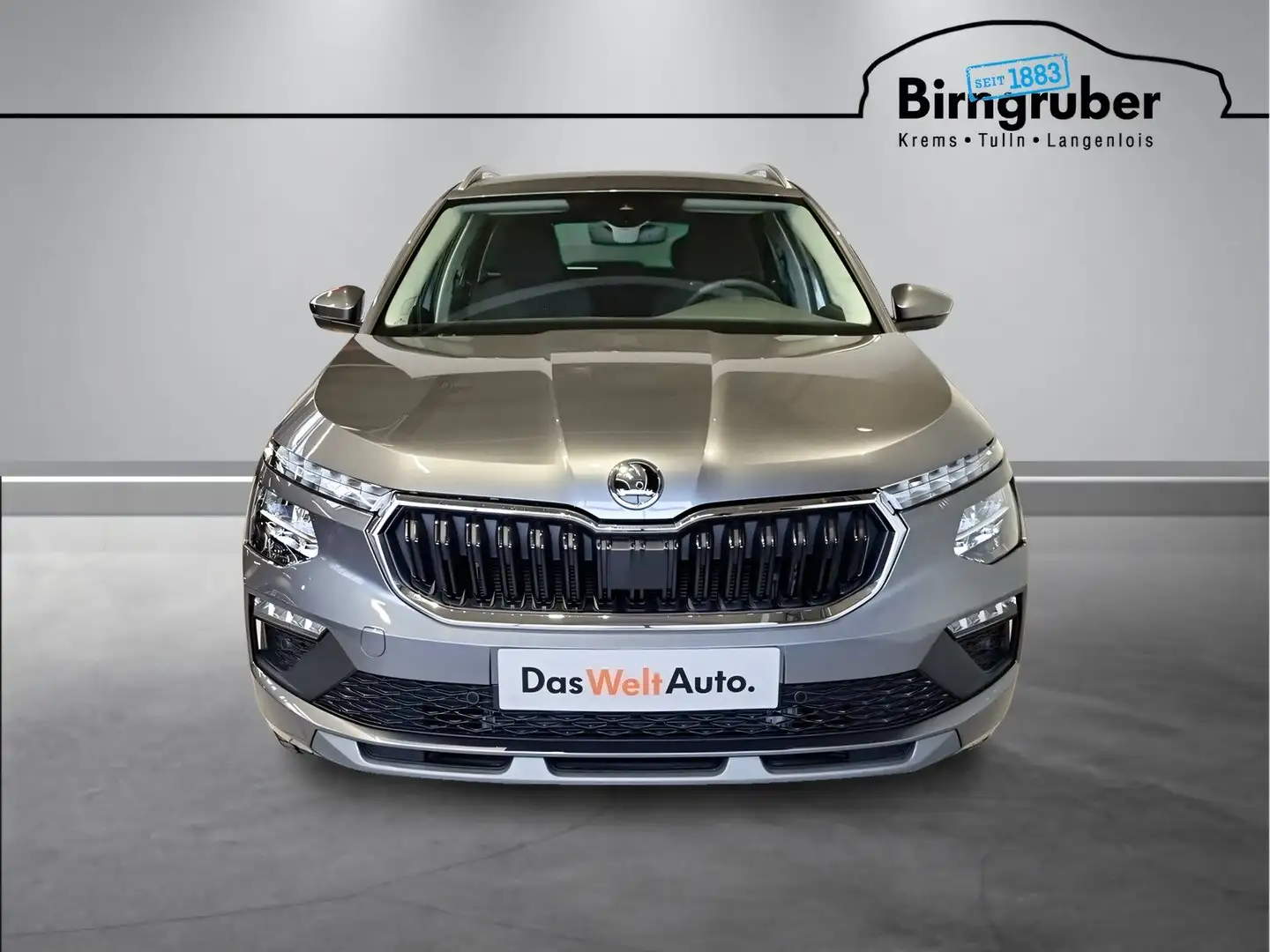 Skoda Kamiq Selection TSI Grau - 2