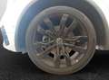 Volkswagen Tiguan Allspace 2.0 TDI 4Motion DSG R-Line Weiß - thumbnail 6