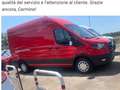 DR Automobiles PK8 2.0 turbo diesel 4x4 136cv Gris - thumbnail 10