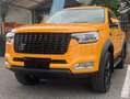 DR Automobiles PK8 2.0 turbo diesel 4x4 136cv Grau - thumbnail 12