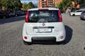 Fiat Panda Panda 1.0 FireFly S&S Hybrid City Life Blanc - thumbnail 6