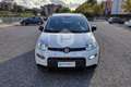 Fiat Panda Panda 1.0 FireFly S&S Hybrid City Life Blanc - thumbnail 2