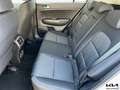 Kia Sportage 1.6 CRDI 136 CV 2WD Mild Hybrid Urban (Comfort Pac Bianco - thumbnail 11