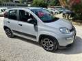Fiat Panda 1.0 FireFly S&S Hybrid City Life PRONTA CONSEGNA Bianco - thumbnail 3