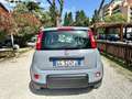 Fiat Panda 1.0 FireFly S&S Hybrid City Life PRONTA CONSEGNA Bianco - thumbnail 5