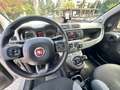 Fiat Panda 1.0 FireFly S&S Hybrid City Life PRONTA CONSEGNA Bianco - thumbnail 8