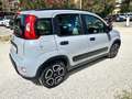 Fiat Panda 1.0 FireFly S&S Hybrid City Life PRONTA CONSEGNA Bianco - thumbnail 6
