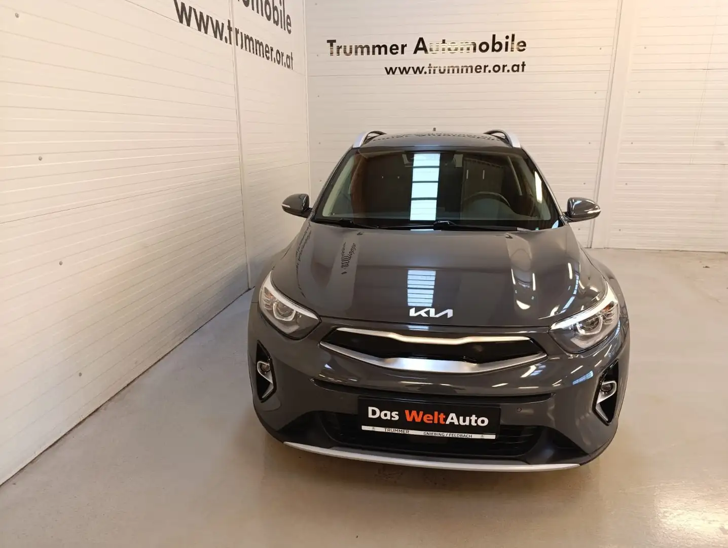 Kia Stonic Gold Grau - 2