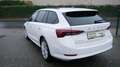 Skoda Octavia Combi Sondermodell  First Edition Weiß - thumbnail 8