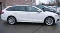 Skoda Octavia Combi Sondermodell  First Edition Weiß - thumbnail 4