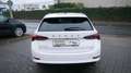 Skoda Octavia Combi Sondermodell  First Edition Weiß - thumbnail 7