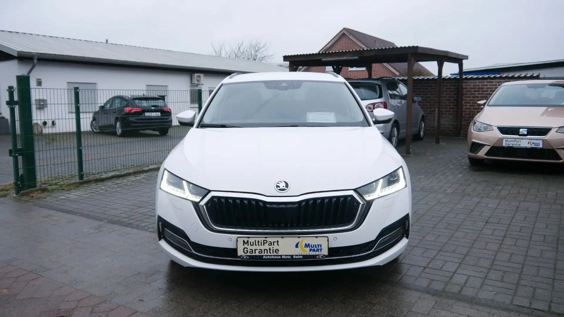 Skoda Octavia Combi Sondermodell  First Edition Weiß - 2