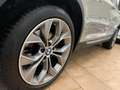 BMW X4 X4 F26 xdrive20d xLine auto IVA ESPOSTA Beige - thumbnail 10