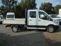 Ford Transit 350 L2 4x4 Doppelkabine Allrad Trend AHK Blanc - thumbnail 7