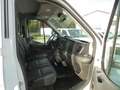 Ford Transit 350 L2 4x4 Doppelkabine Allrad Trend AHK Blanc - thumbnail 11