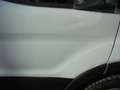 Ford Transit 350 L2 4x4 Doppelkabine Allrad Trend AHK Blanc - thumbnail 15