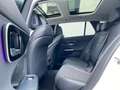 Mercedes-Benz C 220 d T-Modell Avantgarde*Panorama-LED-Standh. Blanc - thumbnail 13