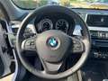 BMW X1 X1 xdrive20d Business Advantage auto Bianco - thumbnail 13