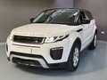 Land Rover Range Rover Evoque Range Rover Evoque 5p 2.0 td4 SE Business 150cv Blanc - thumbnail 3
