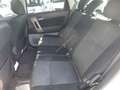 Daihatsu Terios Terios 1.5 4WD B You Five Dolomite Bianco - thumbnail 7