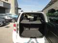 Daihatsu Terios Terios 1.5 4WD B You Five Dolomite Bianco - thumbnail 6