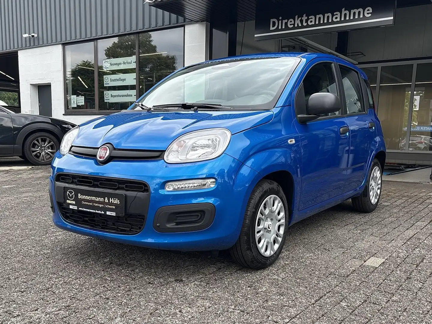 Fiat Panda 1.0 Hybrid MY'25 + City Paket *PDC hi*ZV*Bluetooth Bleu - 1