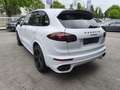 Porsche Cayenne S Platinum LED/Pano/Leder/AHK/BOSE/4xSHZ Bianco - thumbnail 3