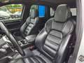 Porsche Cayenne S Platinum LED/Pano/Leder/AHK/BOSE/4xSHZ Bianco - thumbnail 14